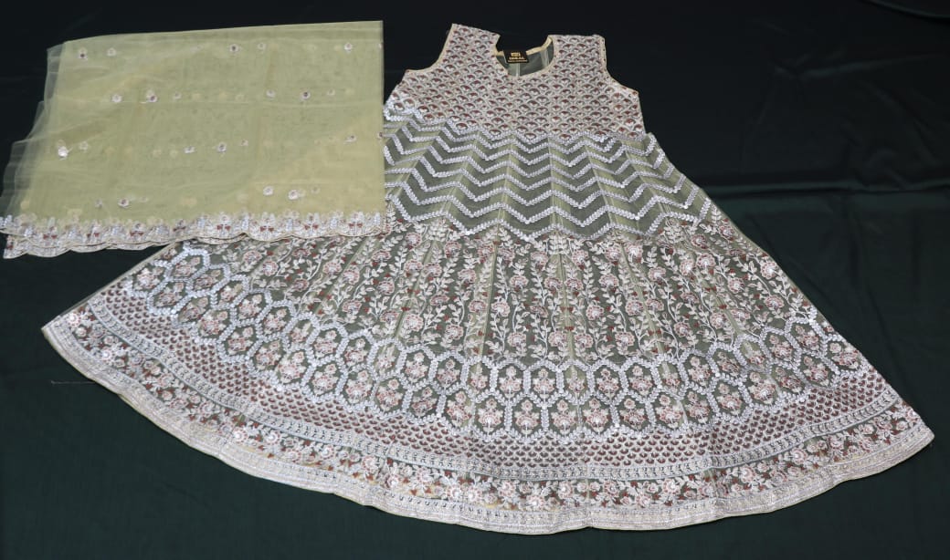 Rashmi net frock pic