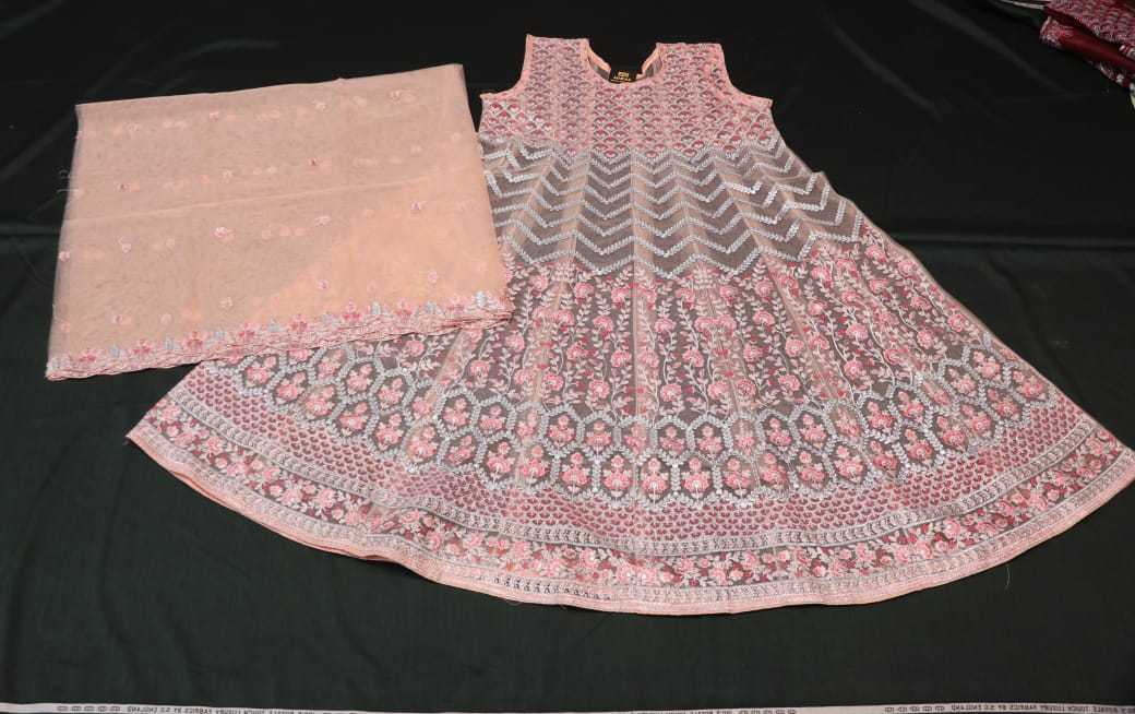 Rashmi net Frock pic